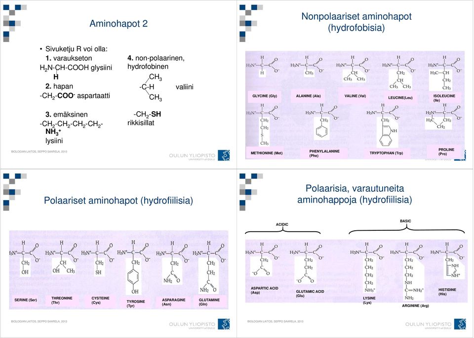 emäksinen -CH 2 -CH 2 -CH 2 -CH 2 - NH 3 + lysiini -CH 2 -SH rikkisillat BIOLOGIAN METHIONINE LAITOS, SEPPO (Met) SAARELA, 2013 PHENYLALANINE (Phe) TRYPTOPHAN (Trp) PROLINE (Pro)