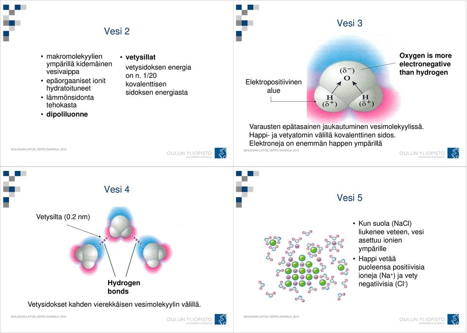 Happi- ja vetyatomin välillä kovalenttinen sidos. Elektroneja on enemmän happen ympärillä Oxygen is more electronegative than hydrogen Vetysilta (0.