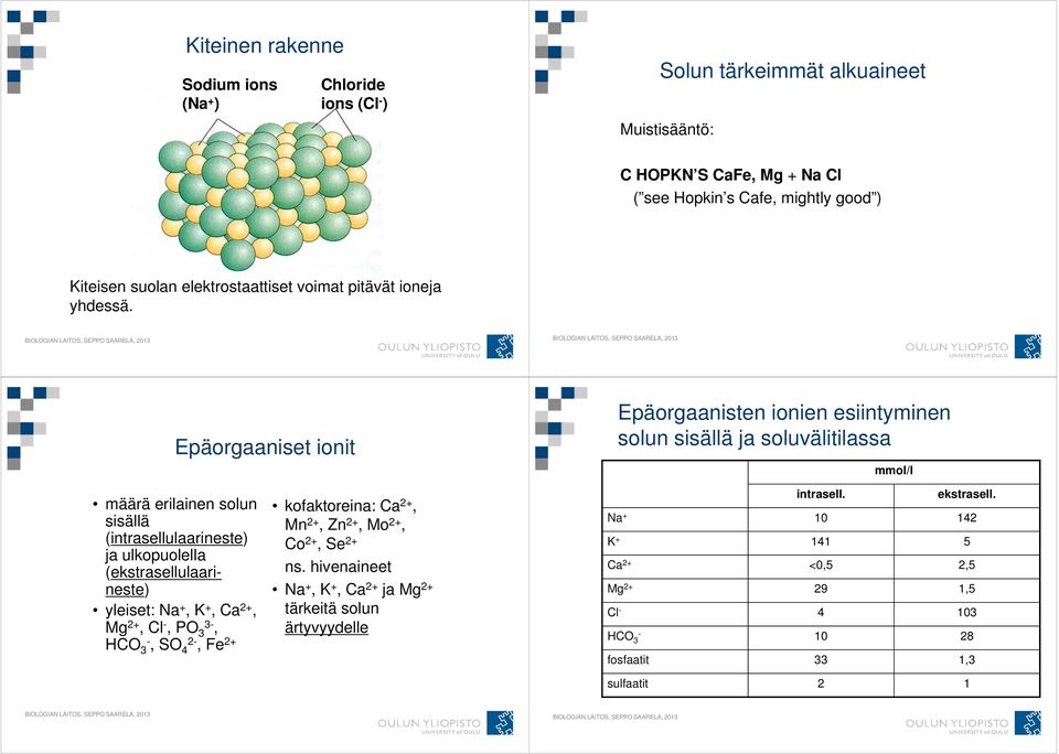 Epäorgaaniset ionit Epäorgaanisten ionien esiintyminen solun sisällä ja soluvälitilassa mmol/l määrä erilainen solun sisällä (intrasellulaarineste) ja ulkopuolella