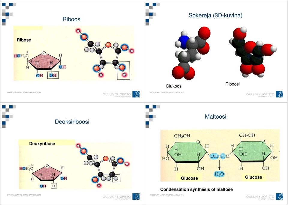 Deoksiriboosi Maltoosi Deoxyribose