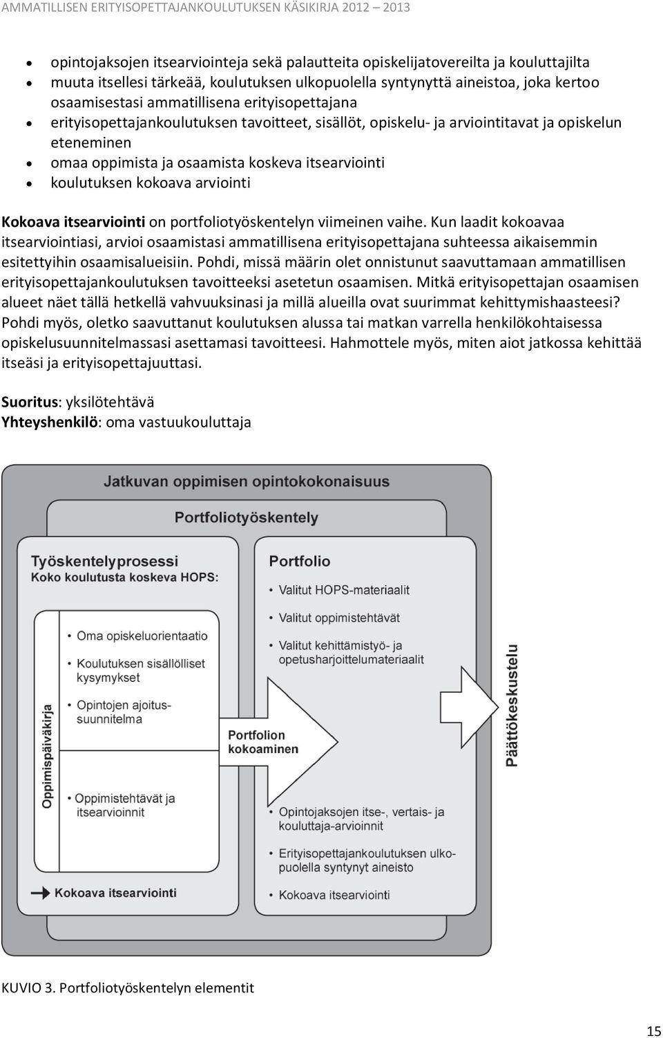 Kokoava itsearviointi on portfoliotyöskentelyn viimeinen vaihe.