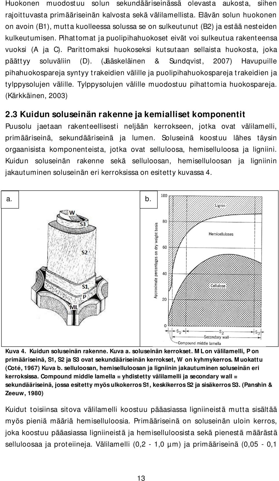 Parittomaksi huokoseksi kutsutaan sellaista huokosta, joka päättyy soluväliin (D).