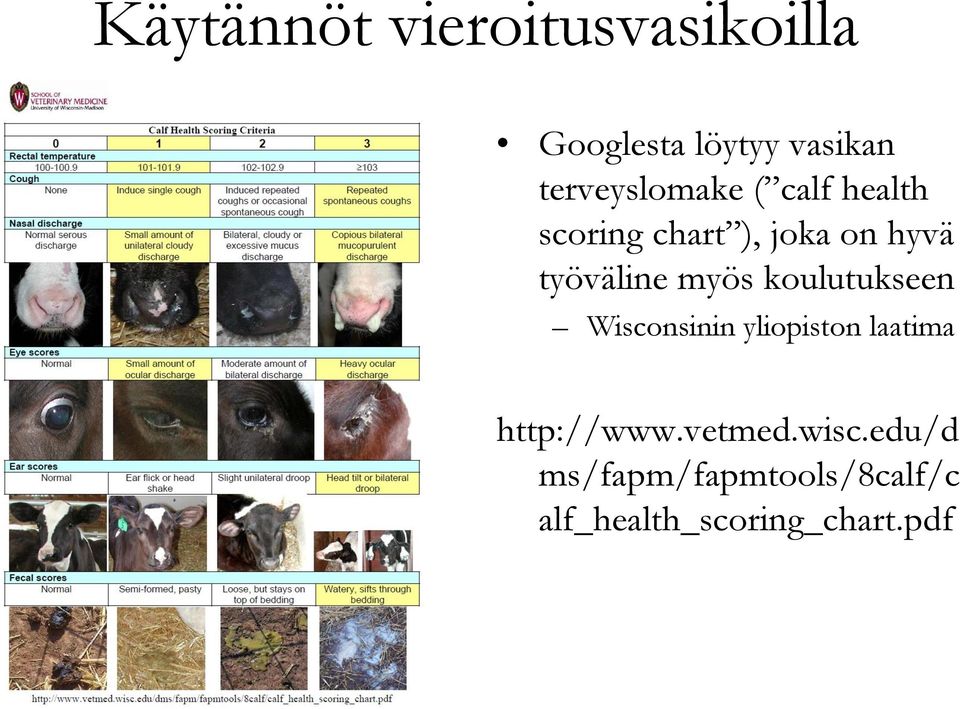 työväline myös koulutukseen Wisconsinin yliopiston laatima