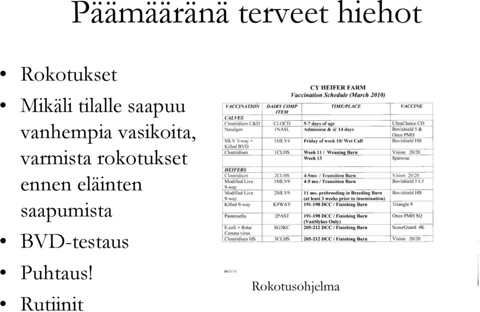 varmista rokotukset ennen eläinten