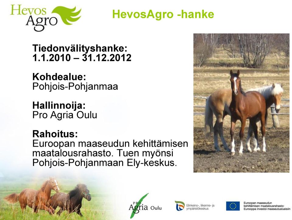 Agria Oulu Rahoitus: Euroopan maaseudun kehittämisen