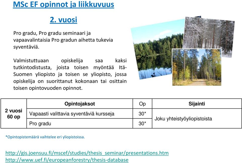 kokonaan tai osittain toisen opintovuoden opinnot.