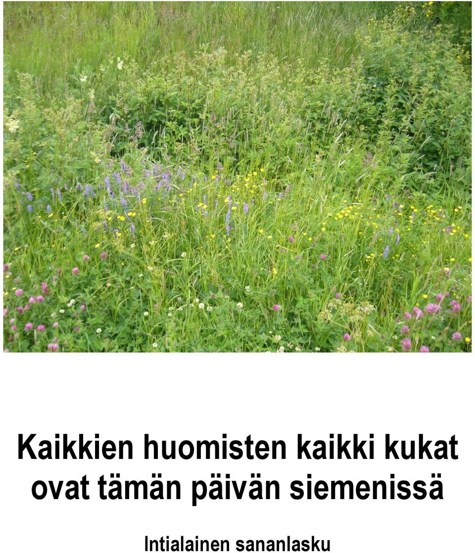 tämän päivän