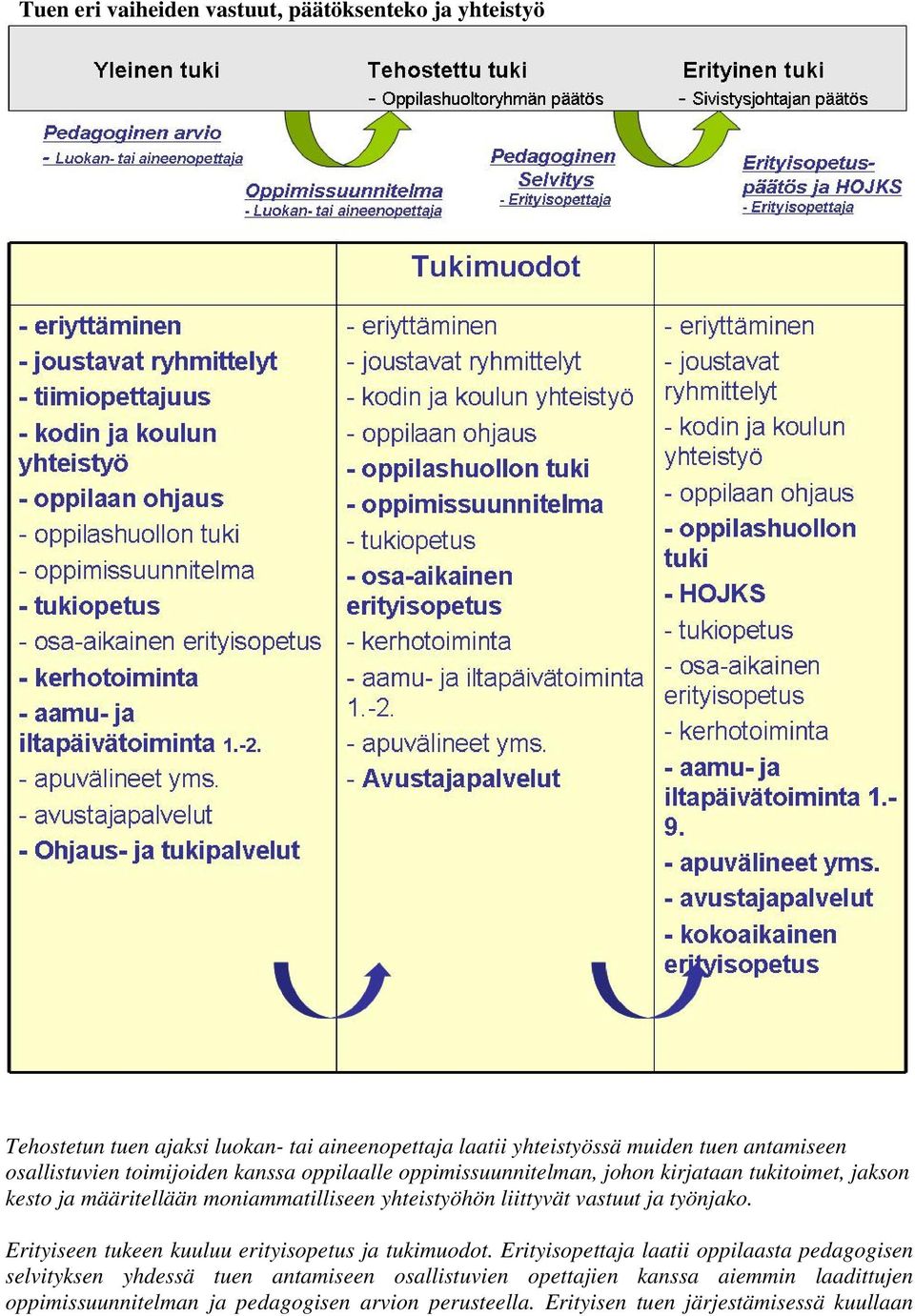 liittyvät vastuut ja työnjako. Erityiseen tukeen kuuluu erityisopetus ja tukimuodot.