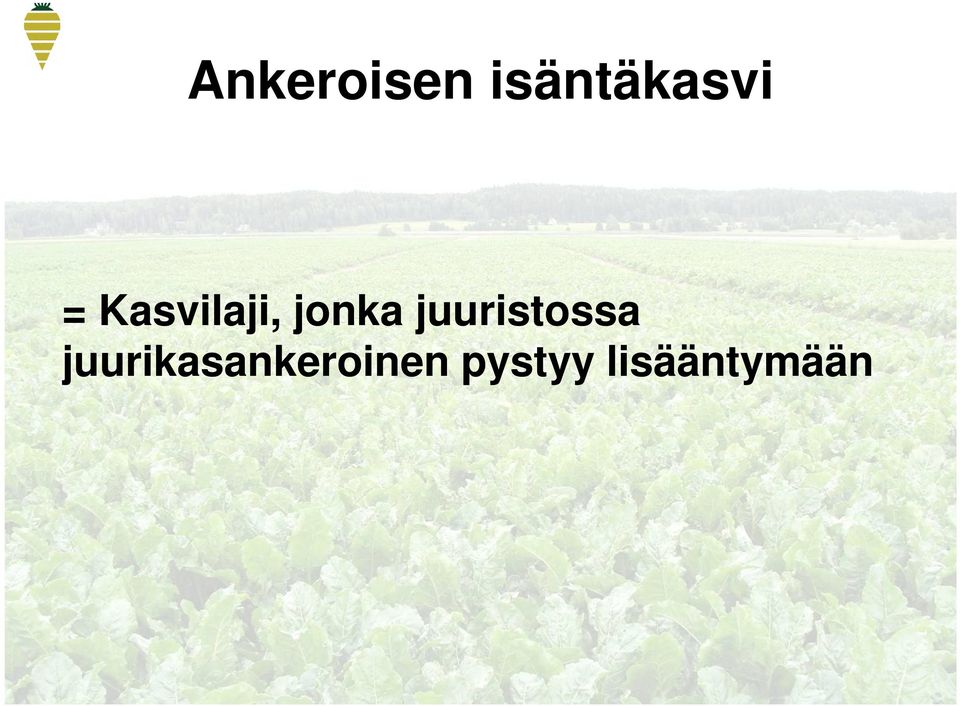 juuristossa