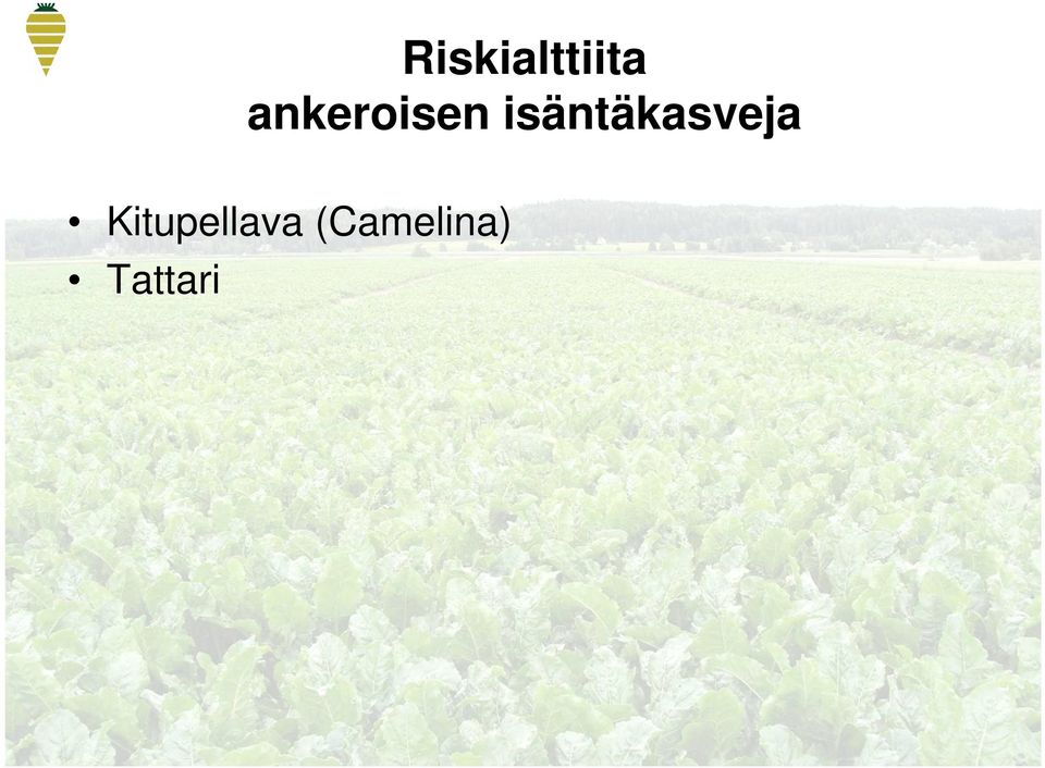 isäntäkasveja