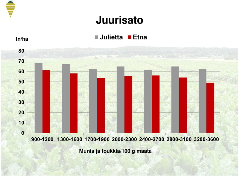 Munia ja