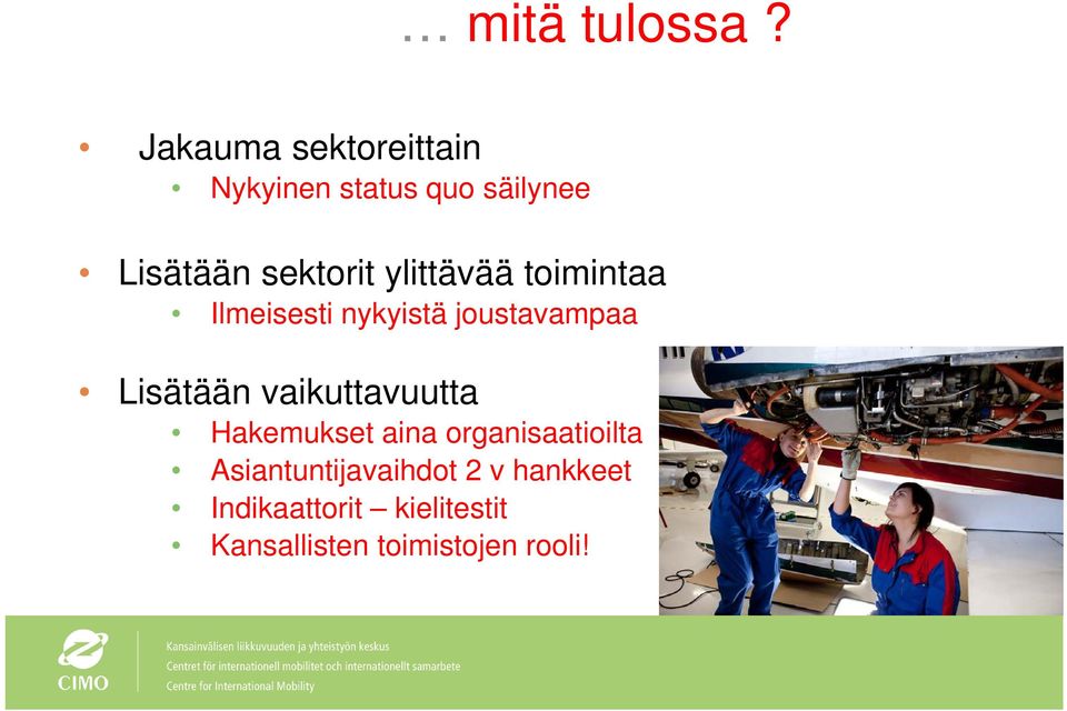 ylittävää toimintaa Ilmeisesti nykyistä joustavampaa Lisätään