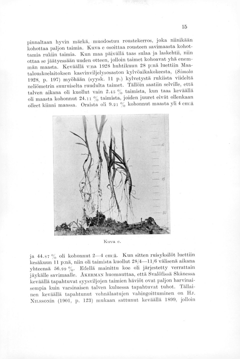 Keväällä v:na 1928 huhtikuun 28 p:nä luettiin Maatalouskoelaitoksen kasvinviljelysosaston kylvöaikakokeesta, (Simola 1928, p. 197) myöhään (syysk. 11 p.