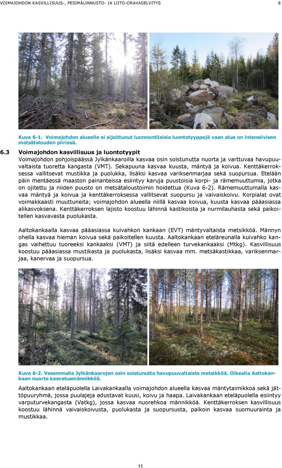 3 Voimajohdon kasvillisuus ja luontotyypit Voimajohdon pohjoispäässä Jylkänkaaroilla kasvaa osin soistunutta nuorta ja varttuvaa havupuuvaltaista tuoretta kangasta (VMT).