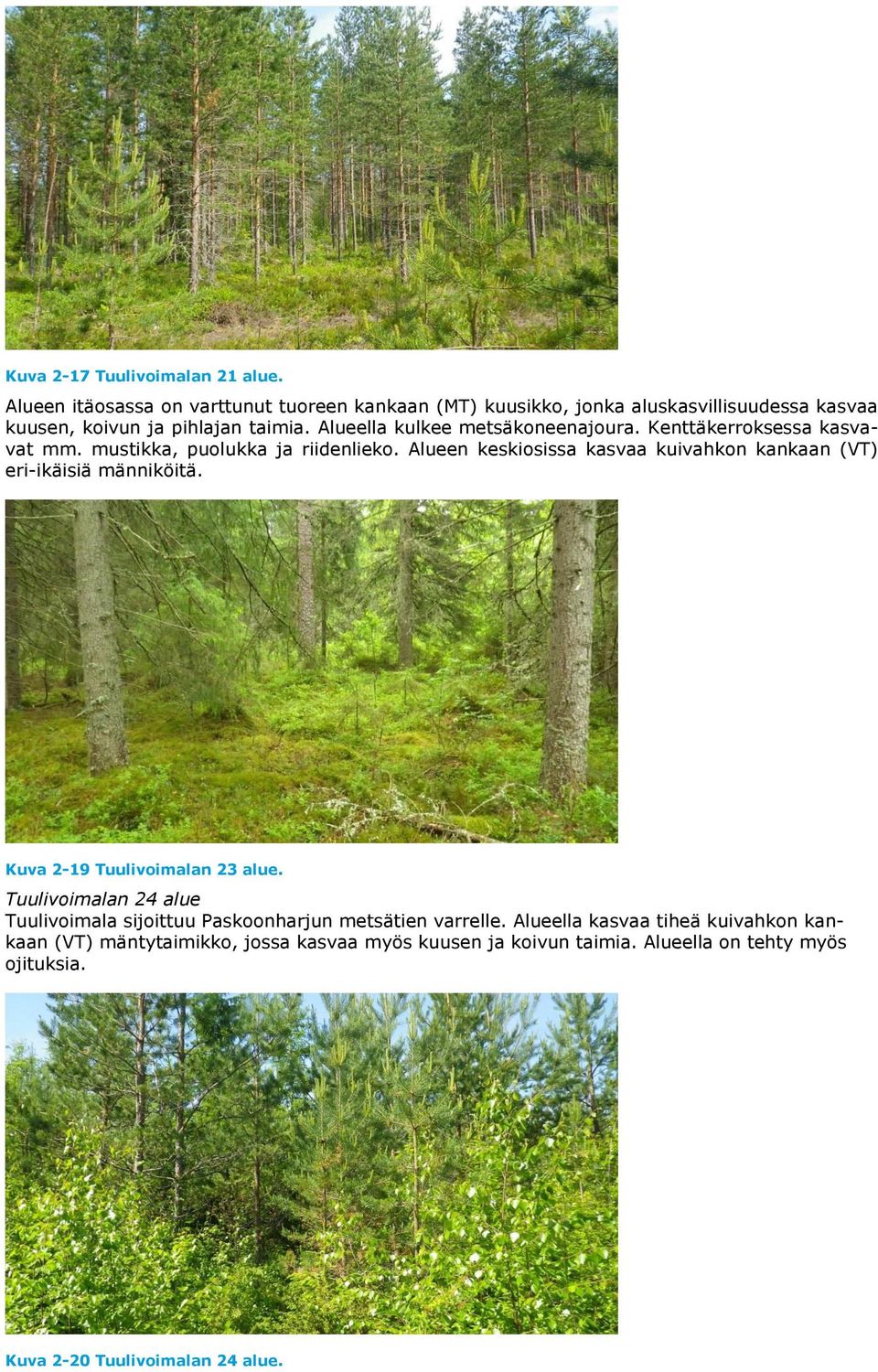 Alueella kulkee metsäkoneenajoura. Kenttäkerroksessa kasvavat mm. mustikka, puolukka ja riidenlieko.