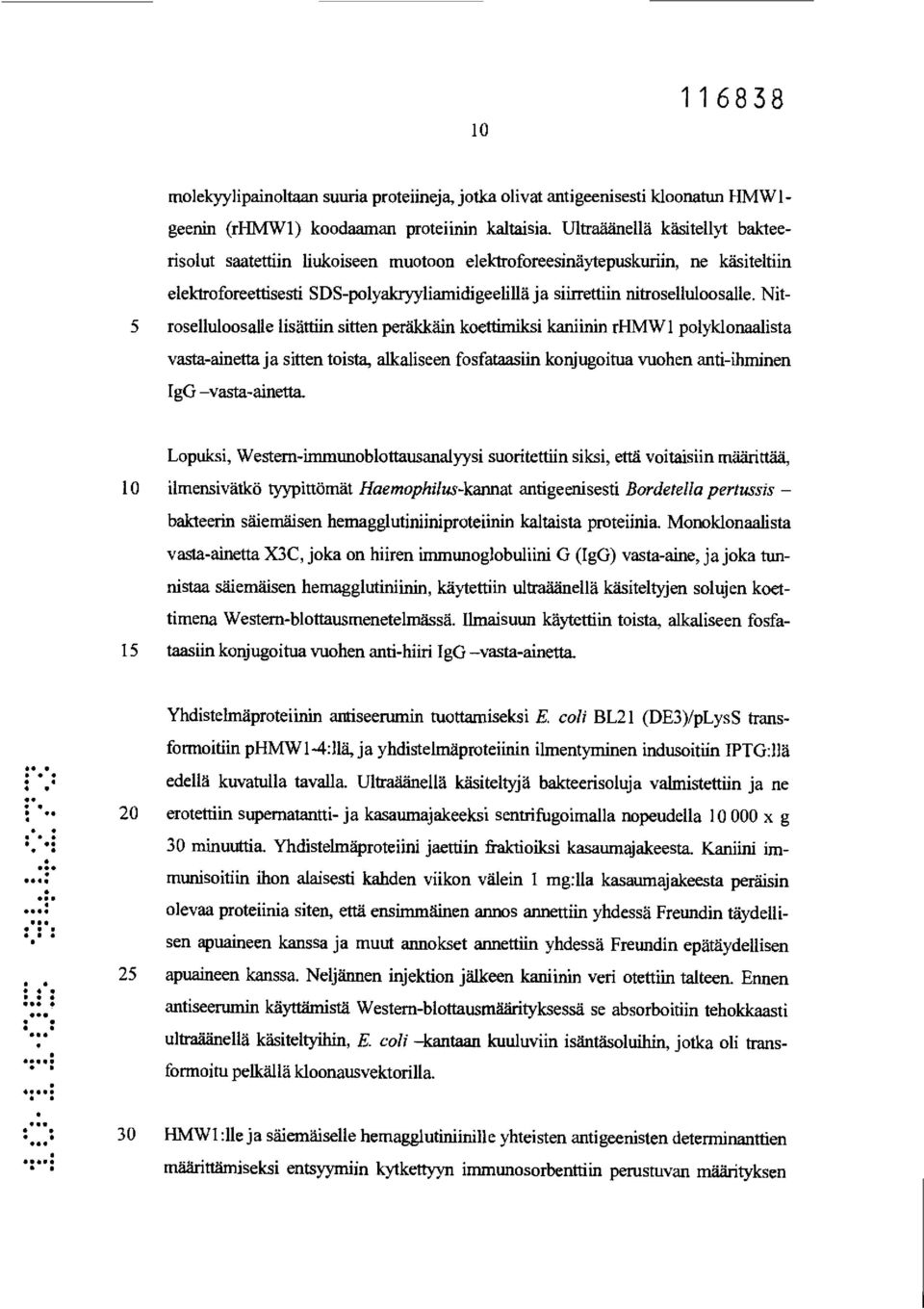 koettimilcsi kaniinin rhmw1 polylclonaalista vasta-ainetta ja sitten toista, alkaliseen fosfatinsiin konjugoitua vuohen anti-ihminen IgG vasta-ainetta Lopuksi, Westem-immunoblottausanalyysi