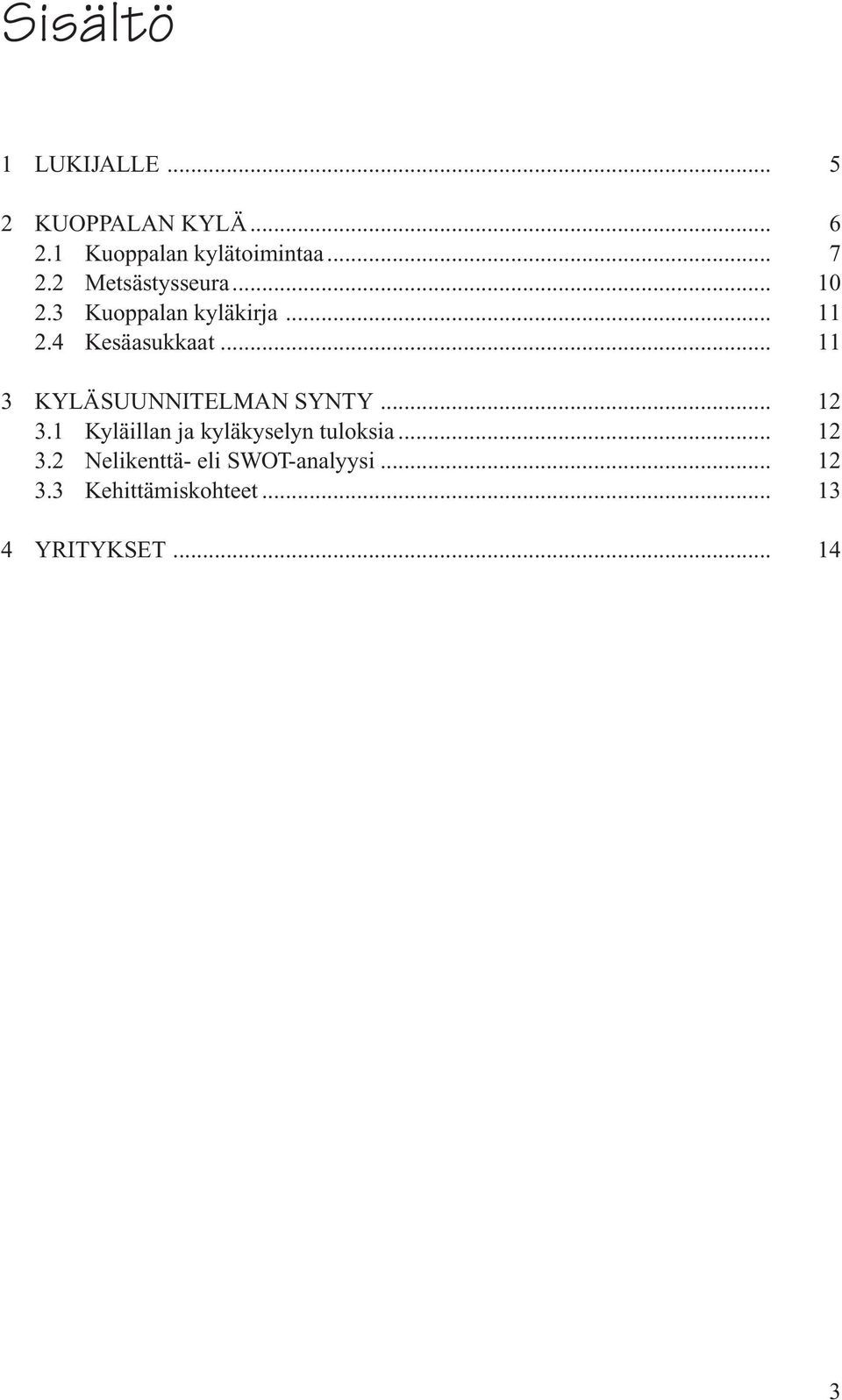 .. 11 3 KYLÄSUUNNITELMAN SYNTY... 12 3.1 Kyläillan ja kyläkyselyn tuloksia.