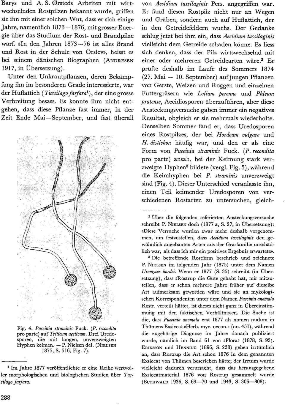 und Brandpilze warf.»in den Jahren 1873-76 ist alles Brand und Rost in der Schule von Örslev», heisst es bei seinem dänischen Biographen (ANDRESEN 1917, in. Vbersetzung).