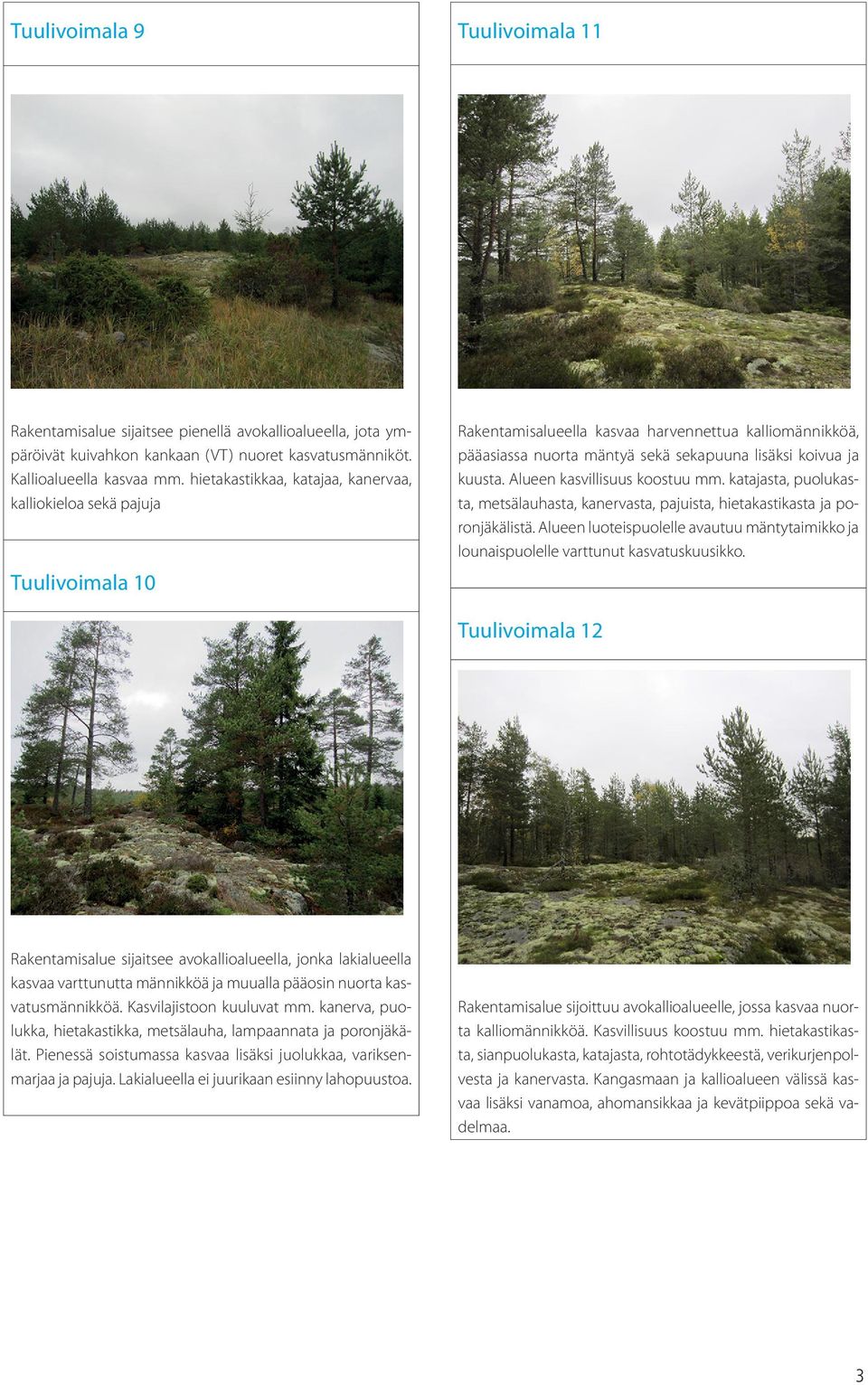 Alueen kasvillisuus koostuu mm. katajasta, puolukasta, metsälauhasta, kanervasta, pajuista, hietakastikasta ja poronjäkälistä.