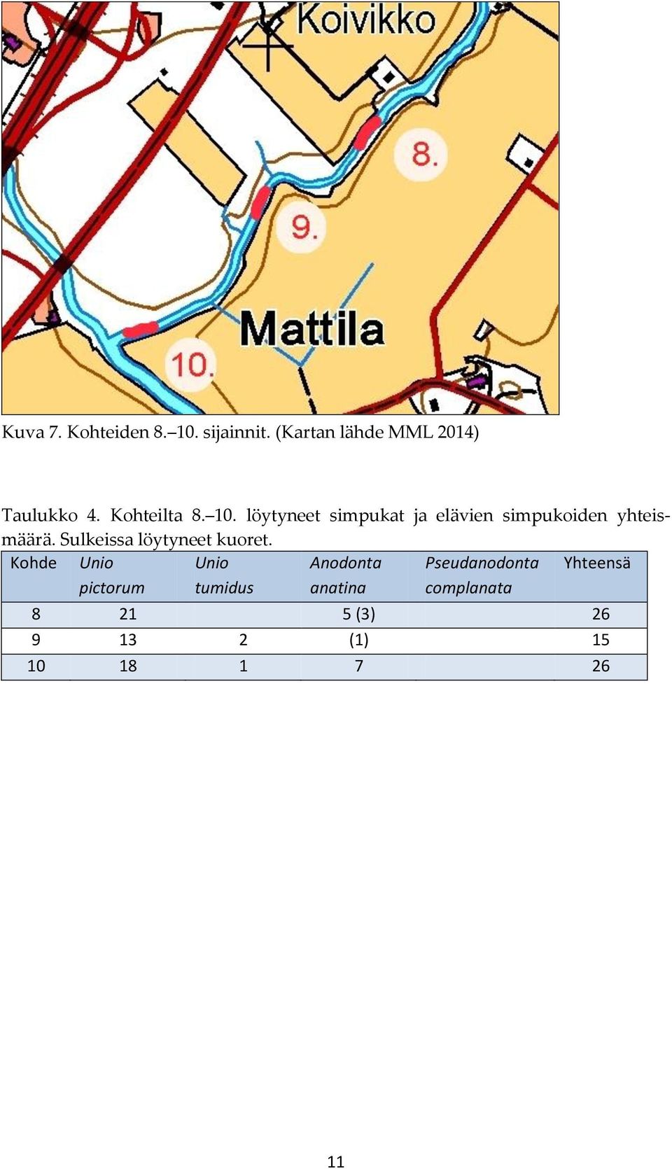 Sulkeissa löytyneet kuoret.