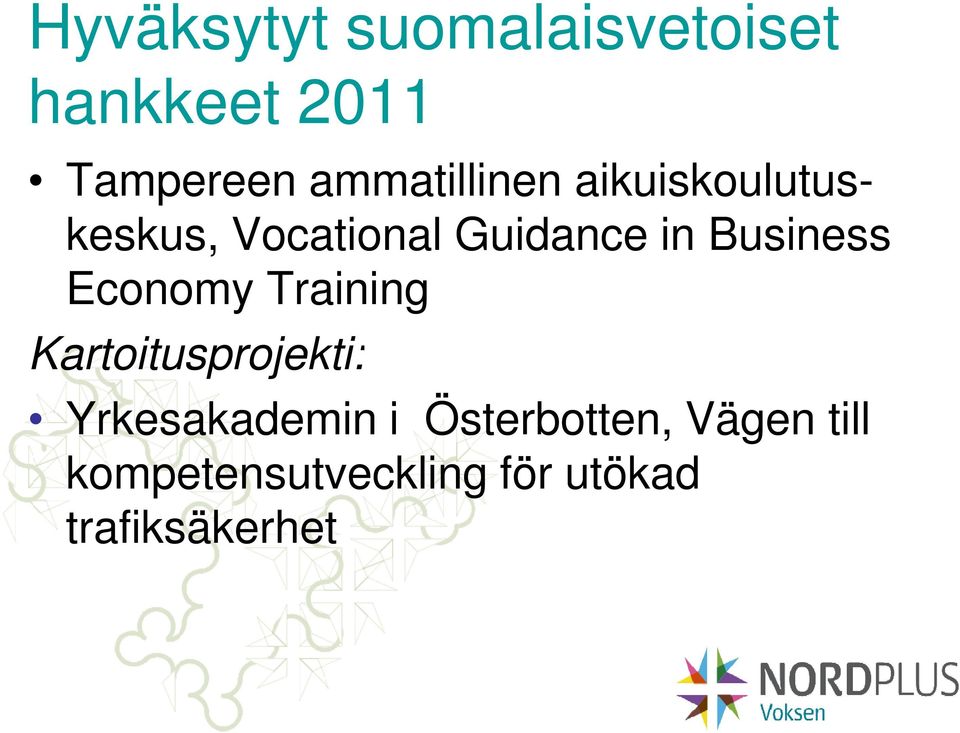 Business Economy Training Kartoitusprojekti: Yrkesakademin i