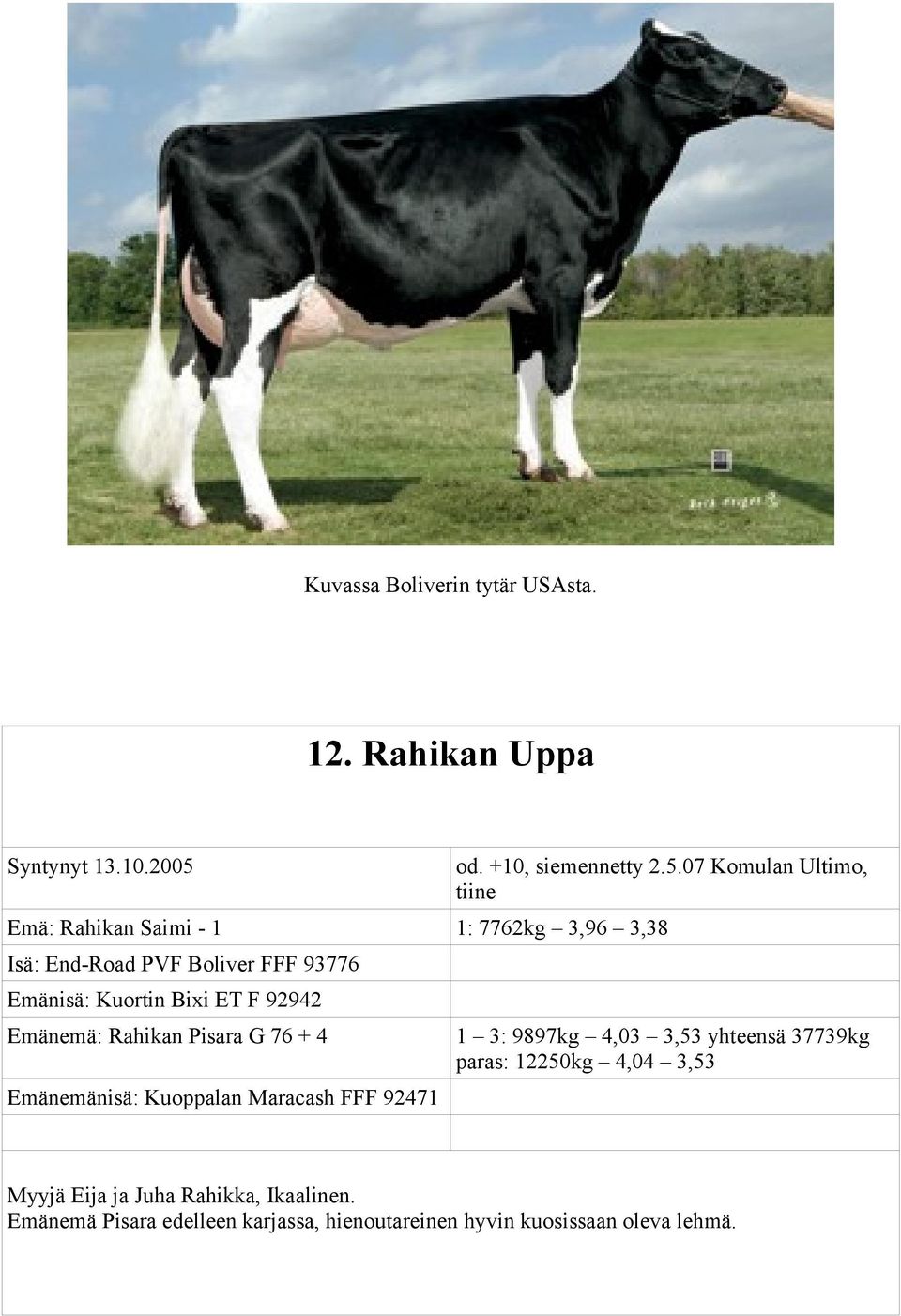 07 Komulan Ultimo, tiine Emä: Rahikan Saimi - 1 1: 7762kg 3,96 3,38 Isä: End-Road PVF Boliver FFF 93776 Emänisä: Kuortin