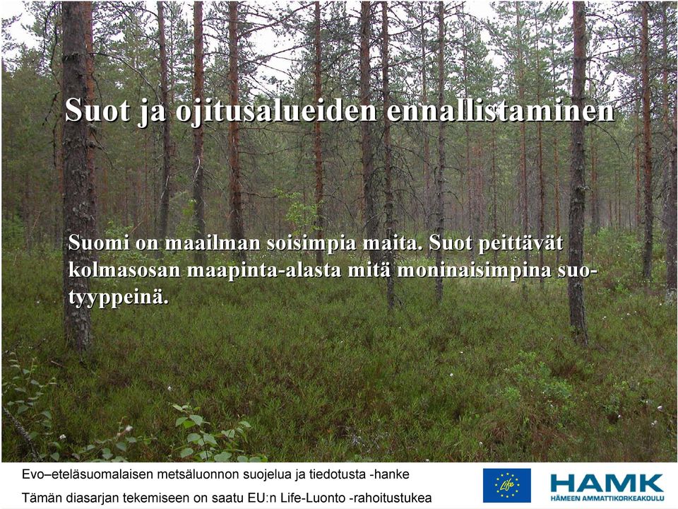 suo- tyyppeinä.