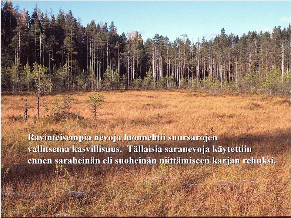 Tällaisia saranevoja käytettiin ennen