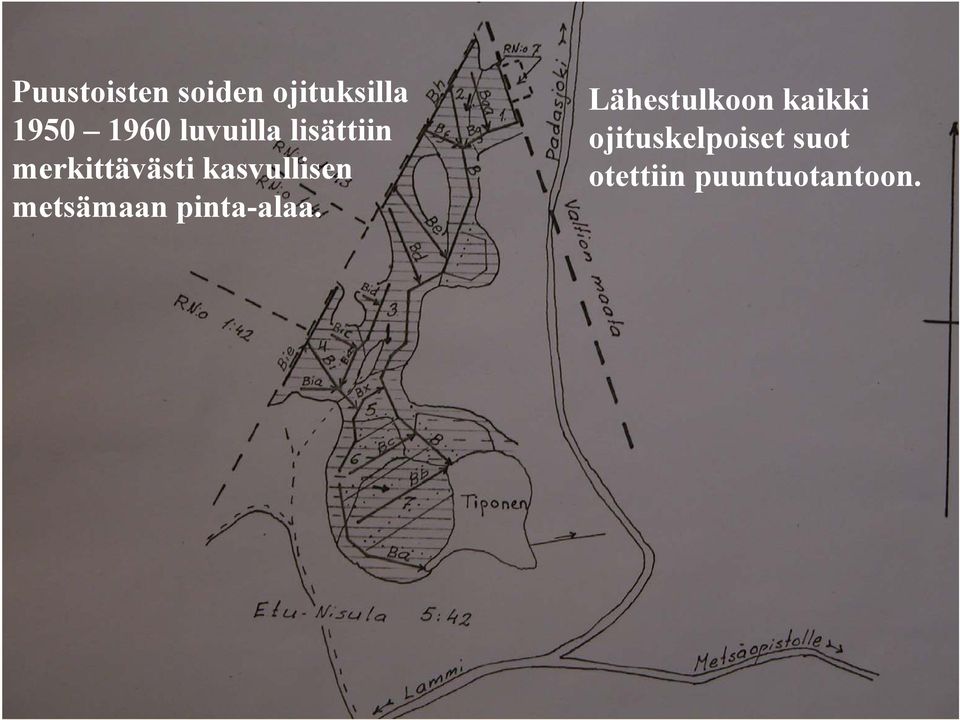 kasvullisen metsämaan pinta-alaa.