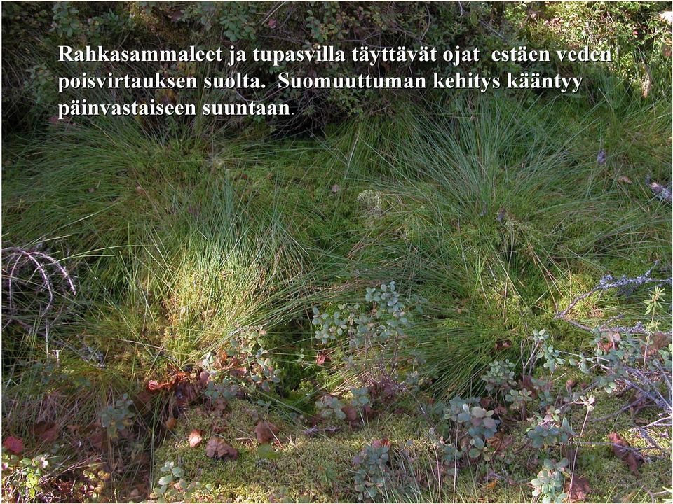 poisvirtauksen suolta.
