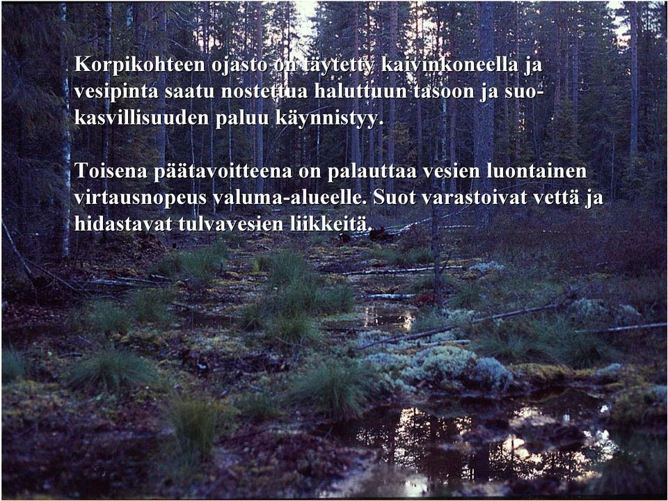 Toisena päätavoitteena on palauttaa vesien luontainen virtausnopeus