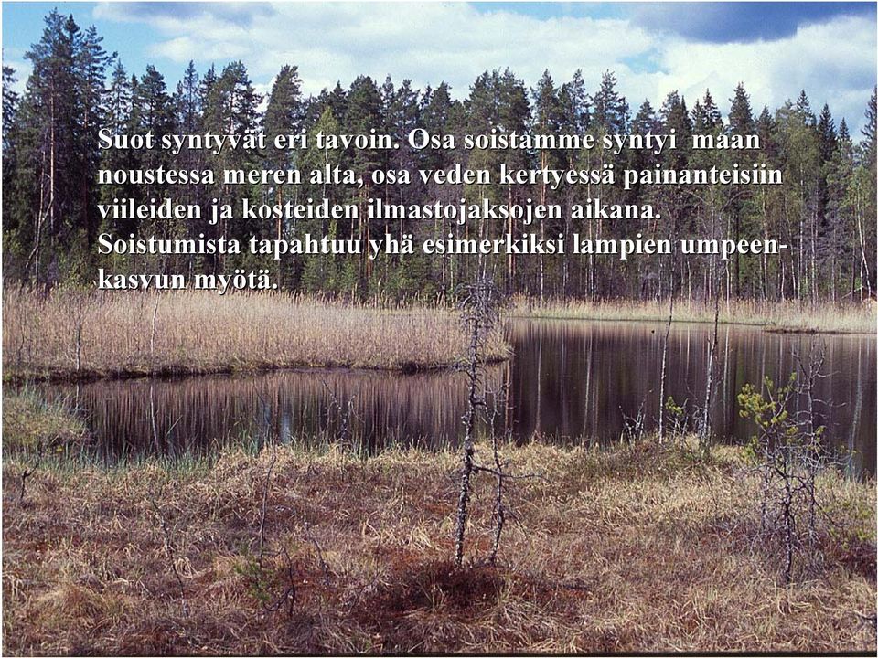 veden kertyessä painanteisiin viileiden ja kosteiden