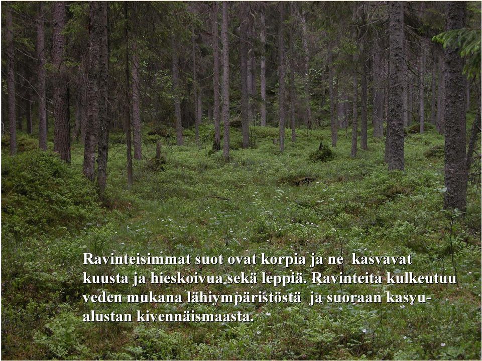 Ravinteita kulkeutuu veden mukana