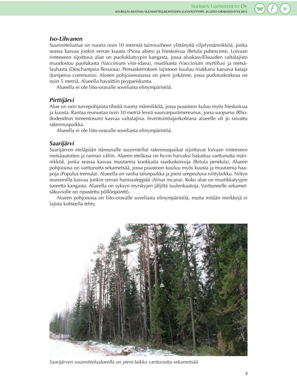 (Deschampsia flexuosa). Pensaskerroksen lajistoon kuuluu niukkana kasvava kataja (Juniperus communis). Alueen pohjoisreunassa on pieni jyrkänne, jossa pudotuskorkeus on noin 5 metriä.