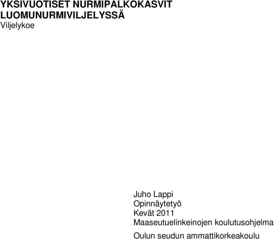 Lappi Opinnäytetyö Kevät 2011