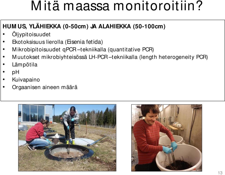 Ekotoksisuus lierolla (Eisenia fetida) Mikrobipitoisuudet qpcr tekniikalla