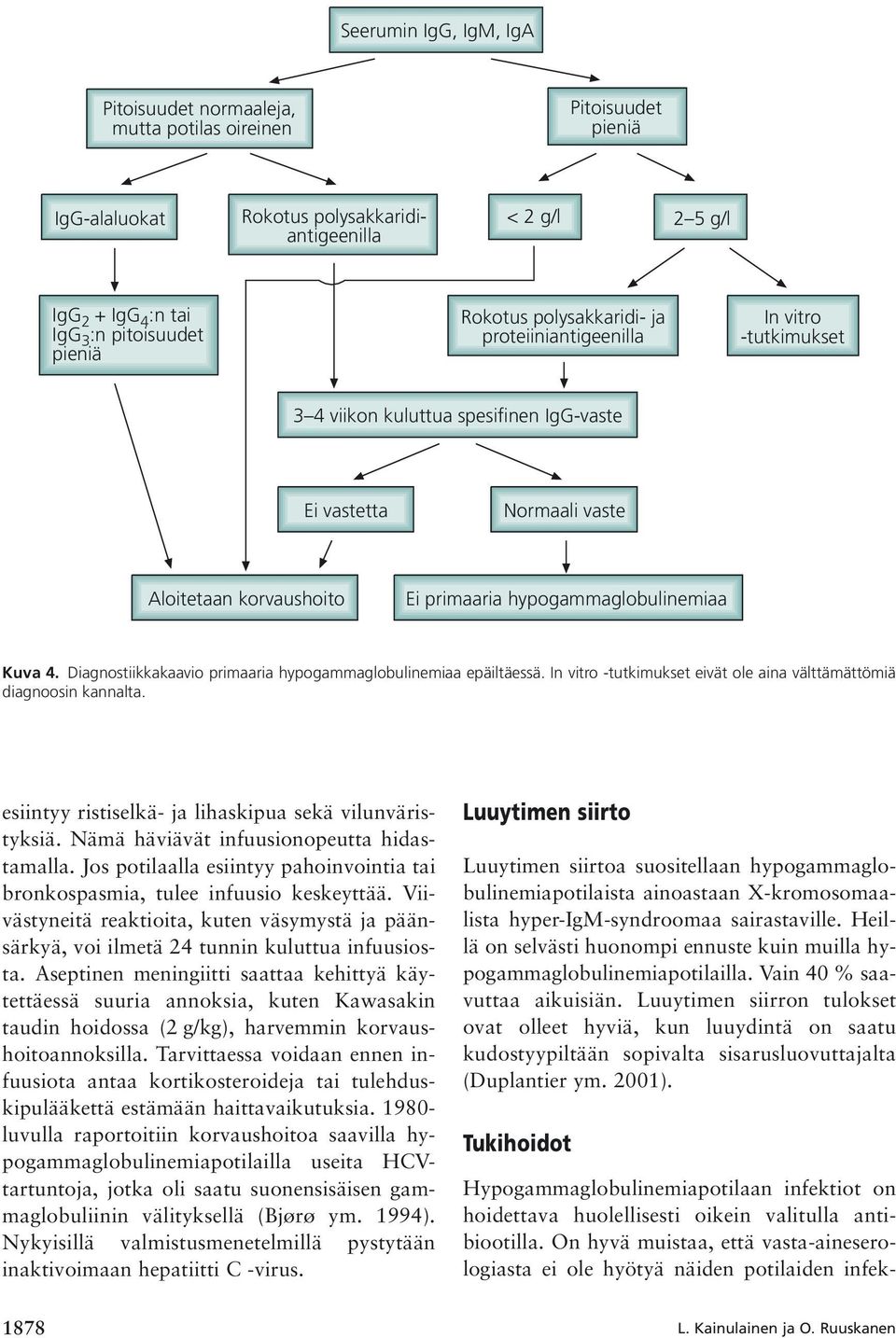 hypogammaglobulinemiaa Kuva 4. Diagnostiikkakaavio primaaria hypogammaglobulinemiaa epäiltäessä. In vitro -tutkimukset eivät ole aina välttämättömiä diagnoosin kannalta.
