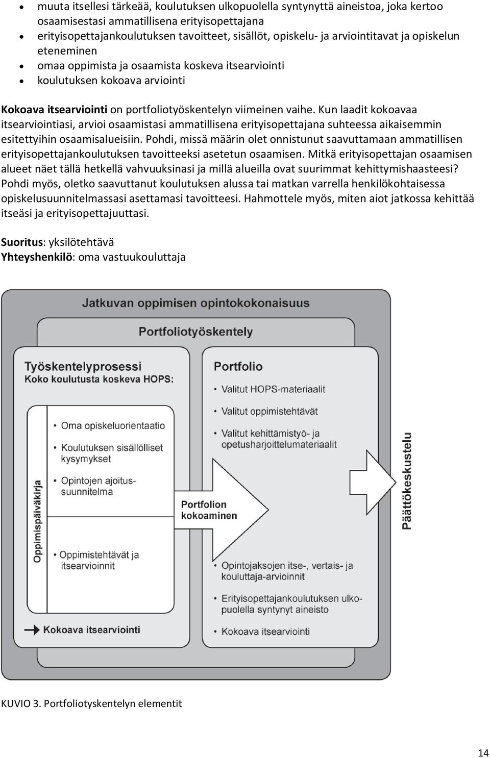 Kun laadit kokoavaa itsearviointiasi, arvioi osaamistasi ammatillisena erityisopettajana suhteessa aikaisemmin esitettyihin osaamisalueisiin.