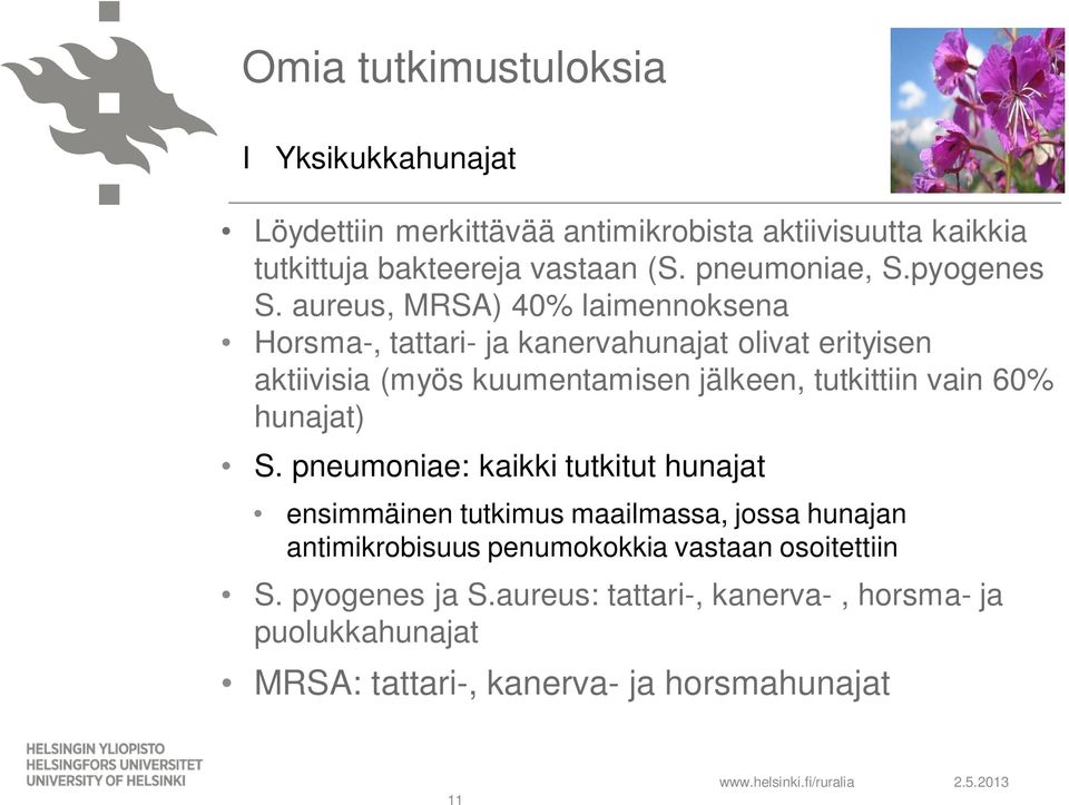 aureus, MRSA) 40% laimennoksena Horsma-, tattari- ja kanervahunajat olivat erityisen aktiivisia (myös kuumentamisen jälkeen, tutkittiin vain