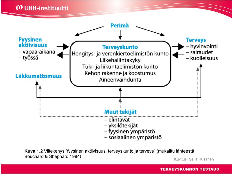 aktiivisuus, terveyskunto ja