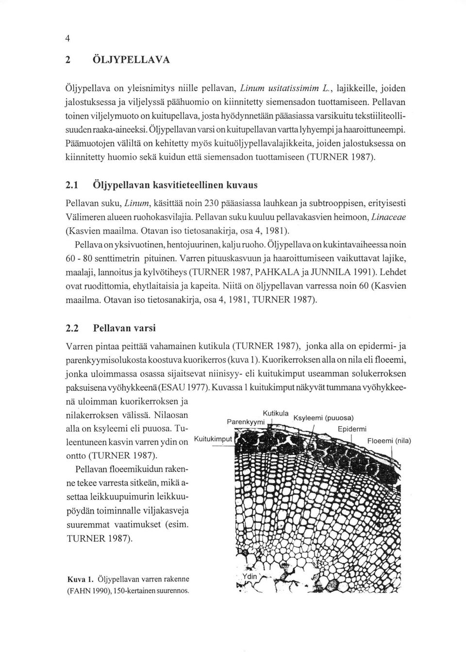 Päämuotojen väliltä on kehitetty myös kuituöljypellavalajikkeita, joiden jalostuksessa on kiinnitetty huomio sekä kuidun että siemensadon tuottamiseen (TURNER 1987). 2.