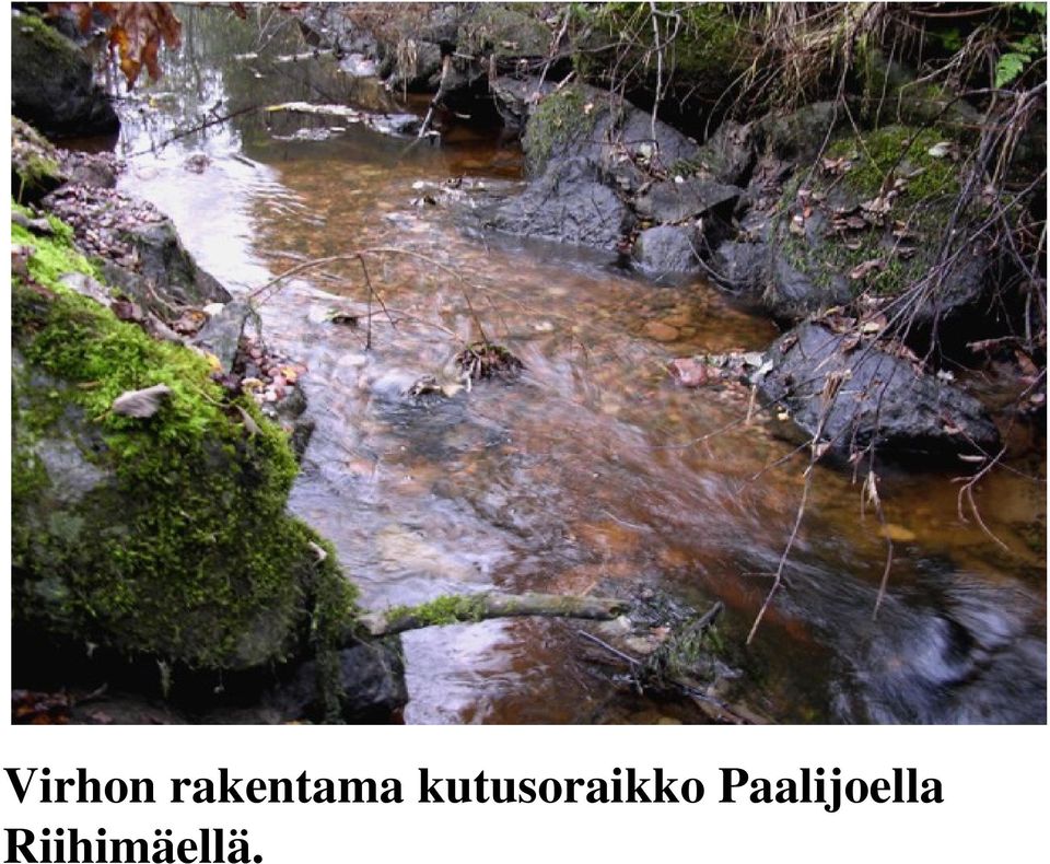 kutusoraikko