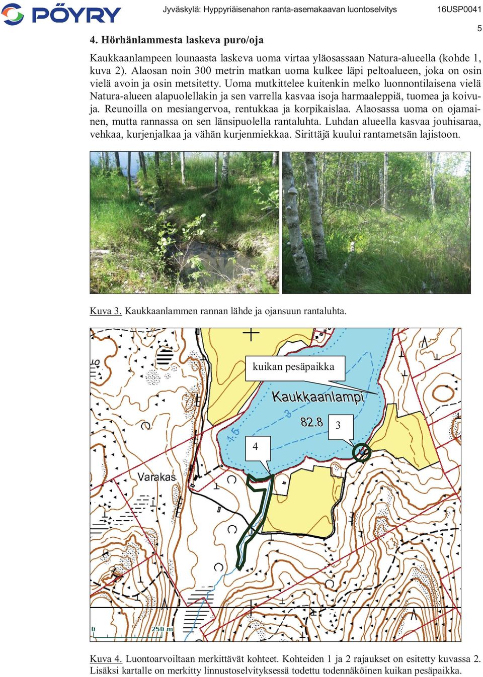 Uoma mutkittelee kuitenkin melko luonnontilaisena vielä Natura-alueen alapuolellakin ja sen varrella kasvaa isoja harmaaleppiä, tuomea ja koivuja. Reunoilla on mesiangervoa, rentukkaa ja korpikaislaa.