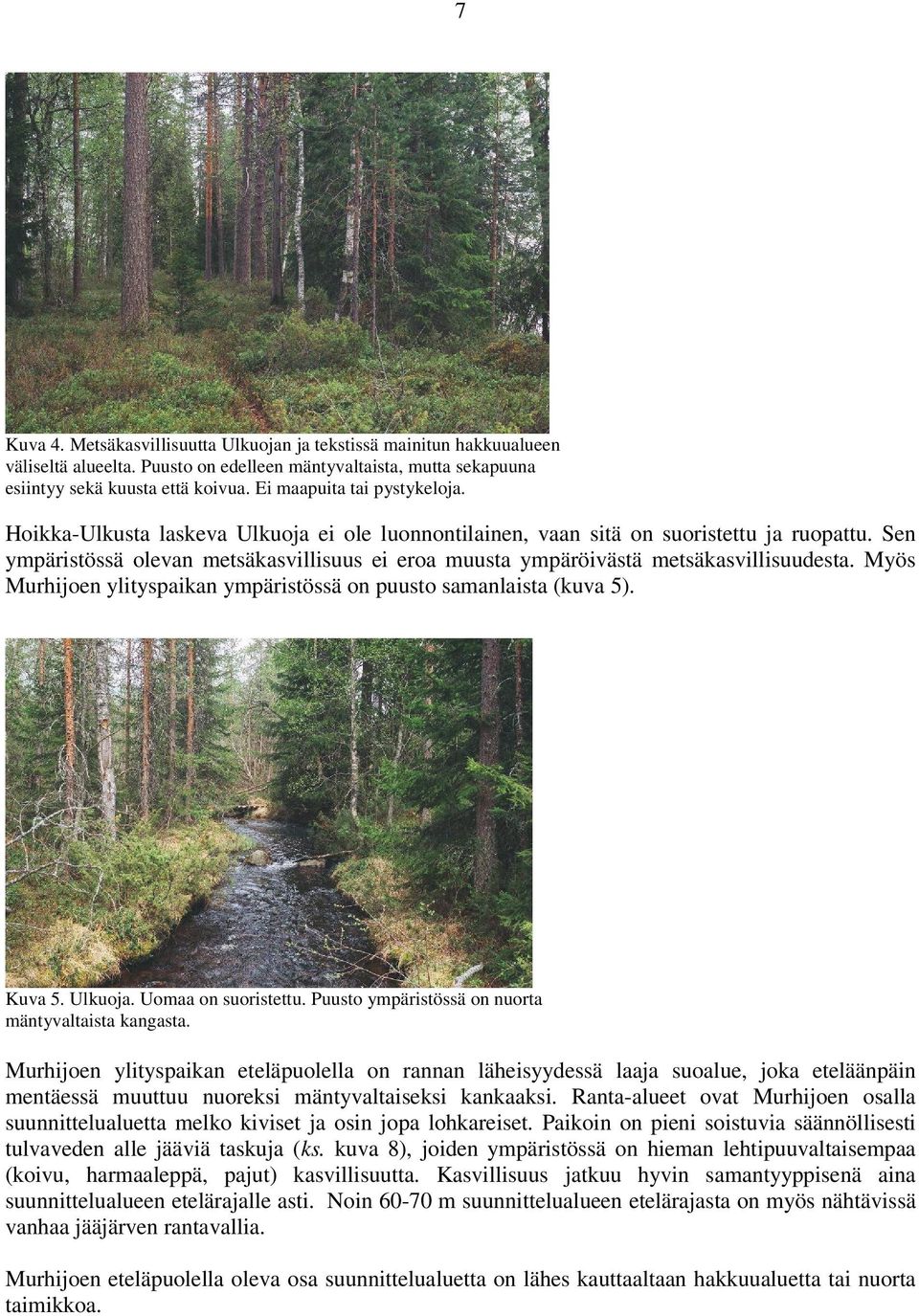 Sen ympäristössä olevan metsäkasvillisuus ei eroa muusta ympäröivästä metsäkasvillisuudesta. Myös Murhijoen ylityspaikan ympäristössä on puusto samanlaista (kuva 5). Kuva 5. Ulkuoja.