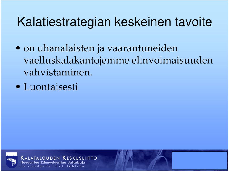 vaarantuneiden