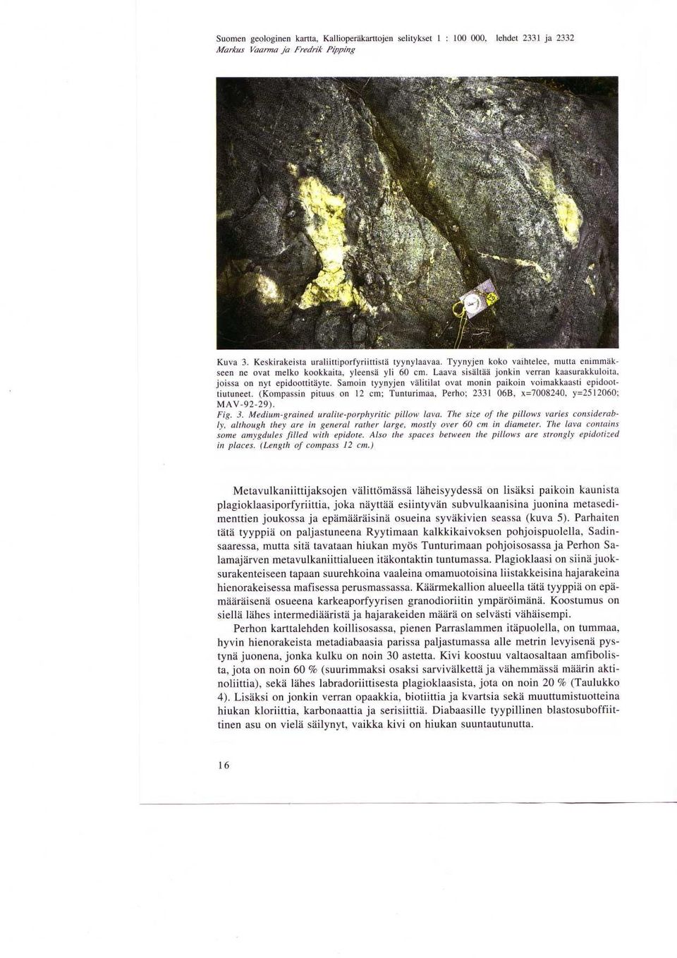 voimakkaasti epidoottiutuneet (Kompassin pituus on 12 cm ; Tunturimaa, Perho; 2331 06B, x=7008240, y=2512060 ; MAV-92-29) Fig 3 Medium-grained uralite-porphyritic pillow lava The size of the pillows