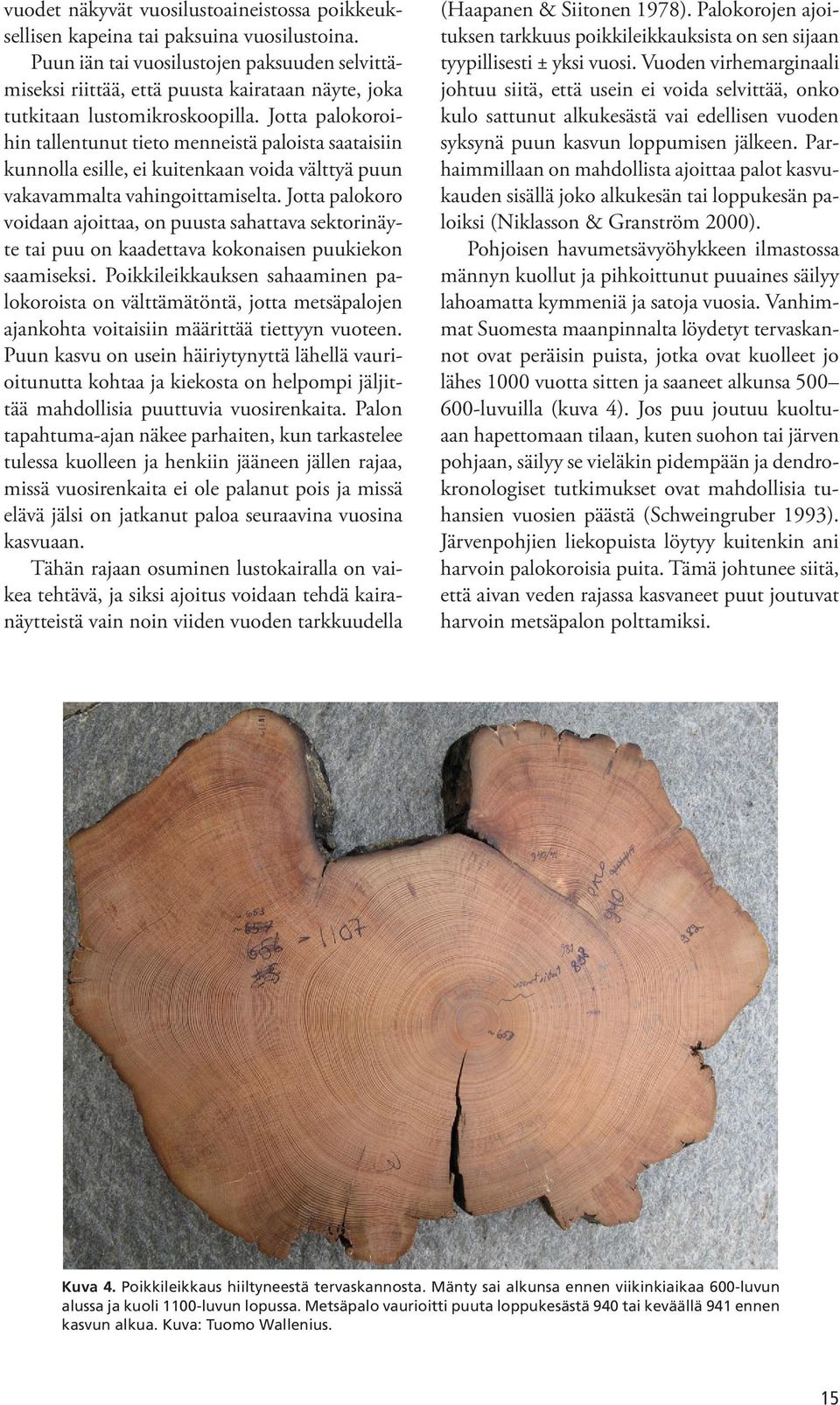 Jotta palokoroihin tallentunut tieto menneistä paloista saataisiin kunnolla esille, ei kuitenkaan voida välttyä puun vakavammalta vahingoittamiselta.