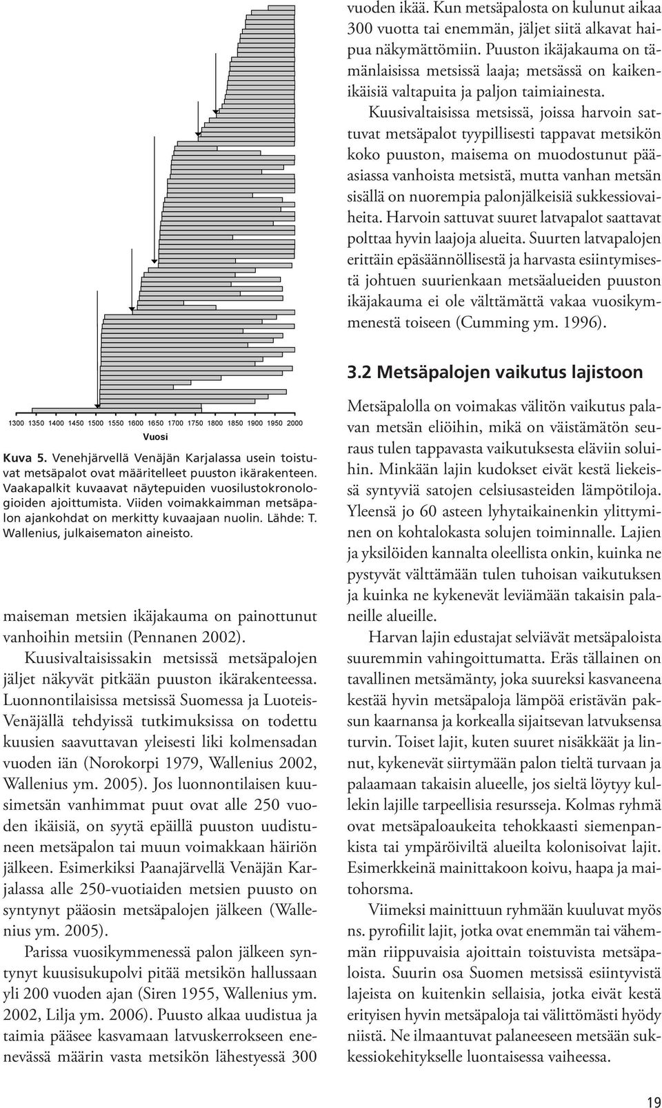 Kuusivaltaisissa metsissä, joissa harvoin sattuvat metsäpalot tyypillisesti tappavat metsikön koko puuston, maisema on muodostunut pääasiassa vanhoista metsistä, mutta vanhan metsän sisällä on