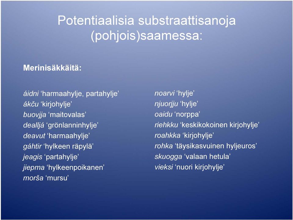 partahylje jiepma hylkeenpoikanen morša mursu noarvi hylje njuorjju hylje oaidu norppa riehkku