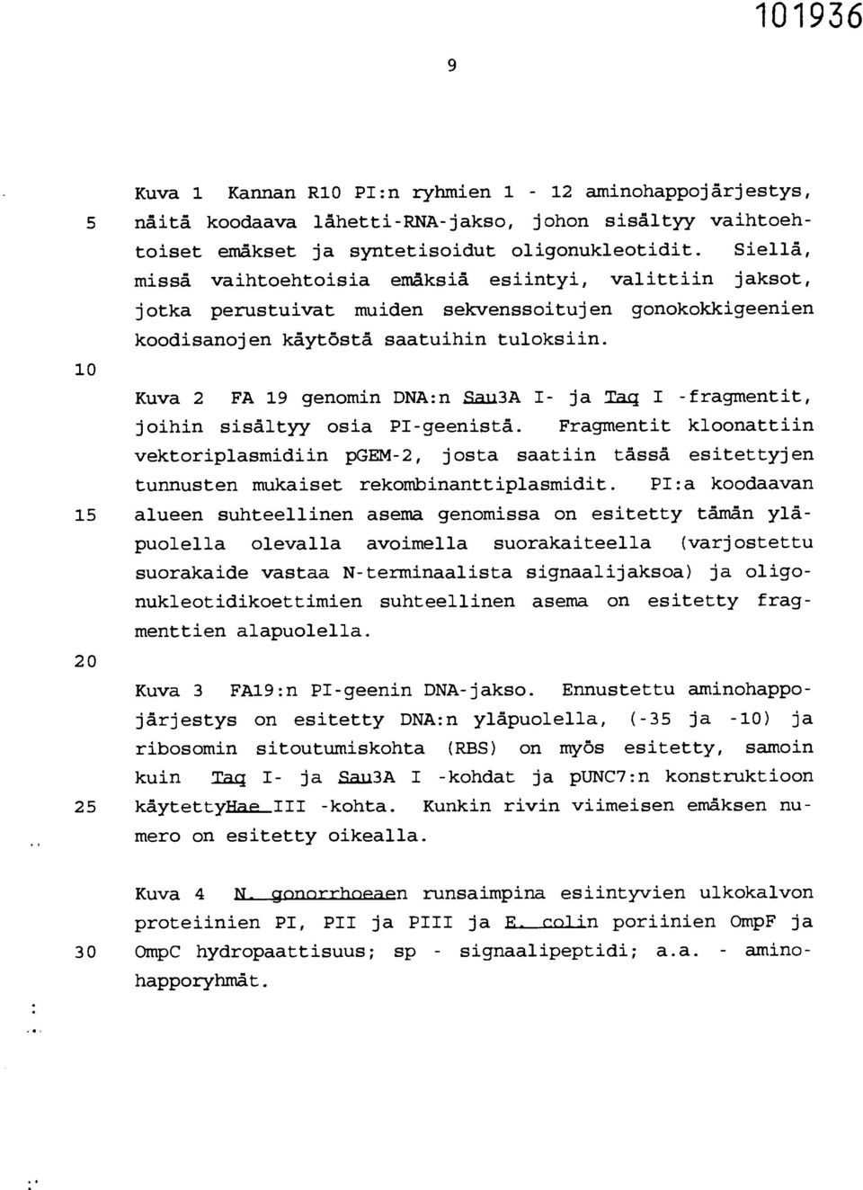 Kuva 2 FA 19 genomin DNA:n RII3A I- ja Taq I -fragmentit, joihin sisältyy osia PI-geenistä.